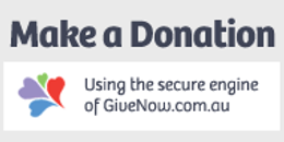 Give Now button