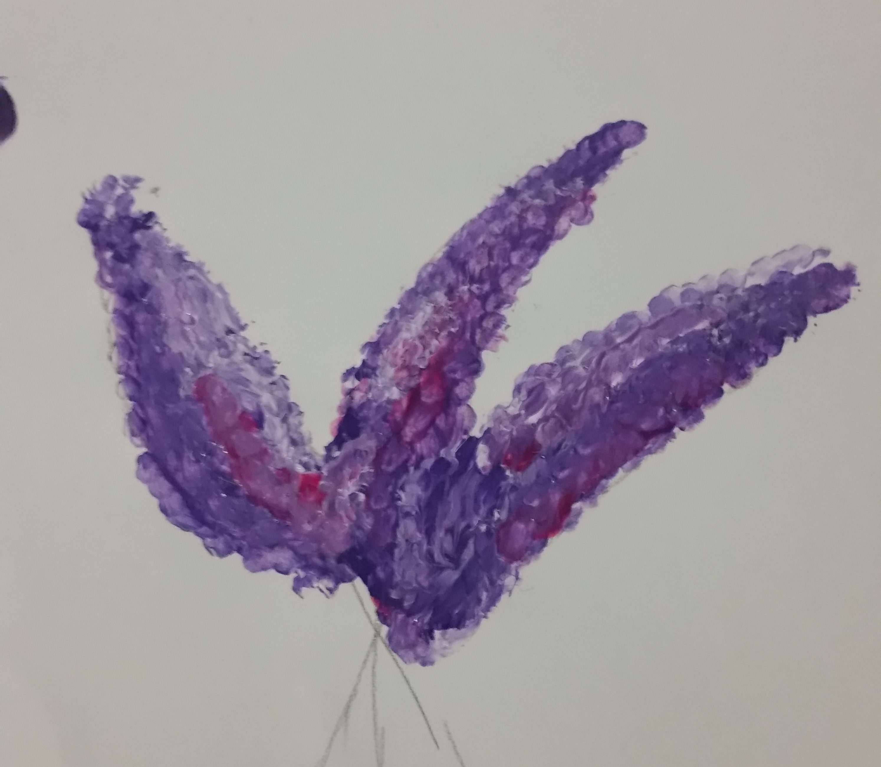 practice of lavender.jpg