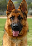 Profile (Change123)
