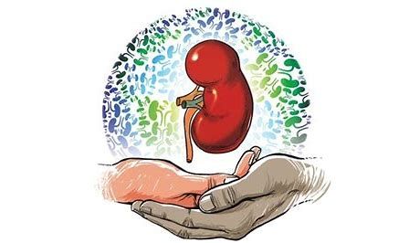 Ohh - I really like this one - taking care of the special kidney